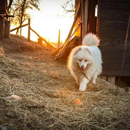 Ranc Vranjes Banja Luka
